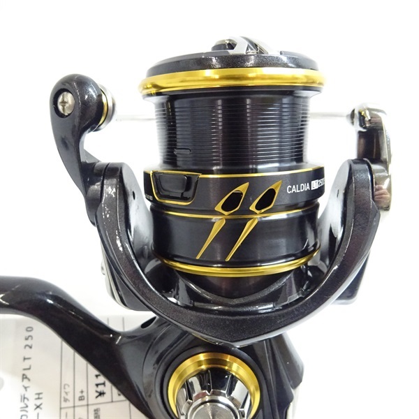 ２１カルディアＬＴ２５００ＳーＸＨ